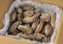 丸干し バラ詰め 5Kg