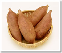 茨城の「ほしいも」はどこから伝わってきたの？
