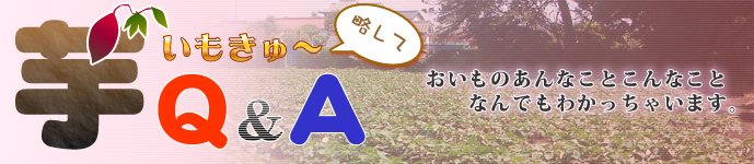 芋Q&A