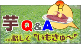 芋Q&A