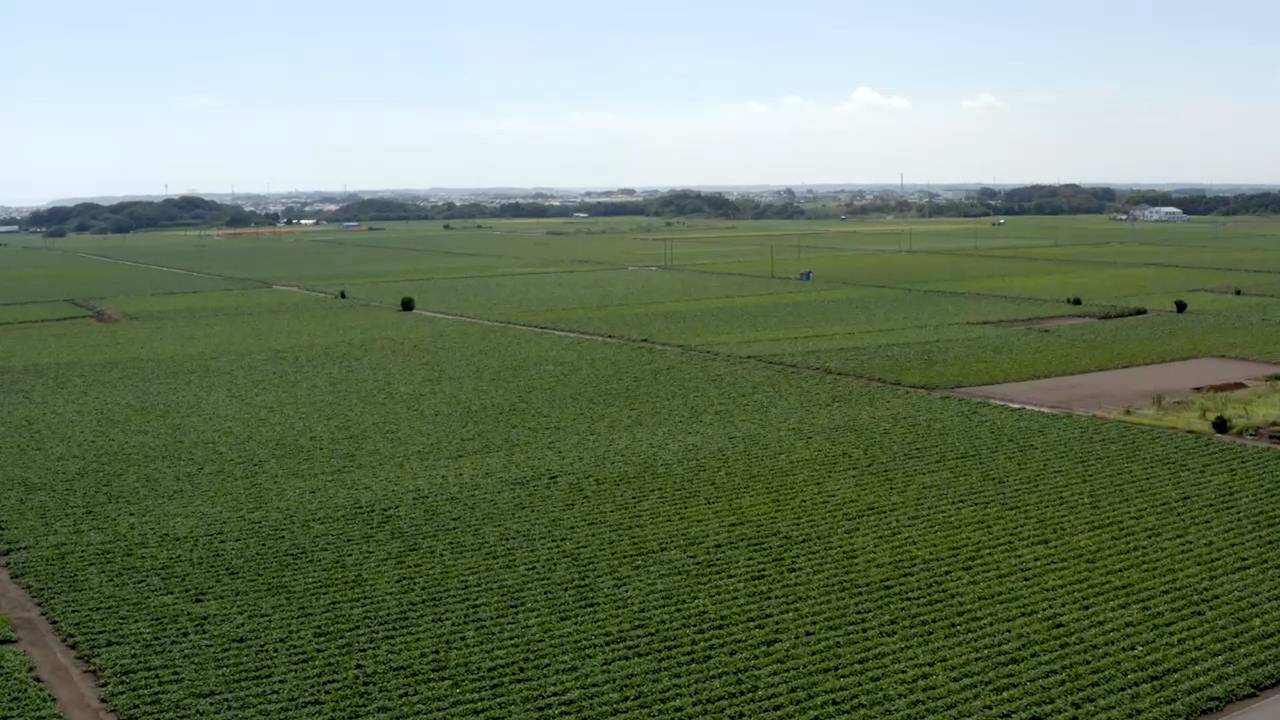 干し芋の幸田商店干し芋の幸田商店 | 茨城県ひたちなか市のほしいも