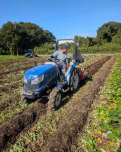【2025年度さつまいも成長記録】ついに！収穫の季節がやって参りました💪🍠