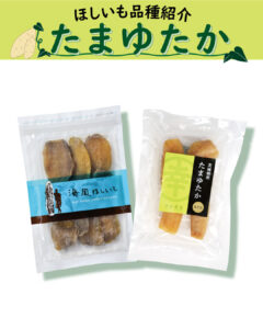 【ほしいもに使われる品種のご紹介🍠】昔ながらの品種「たまゆたか」のご紹介✨