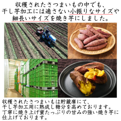 新商品「冷凍焼き芋」のご案内